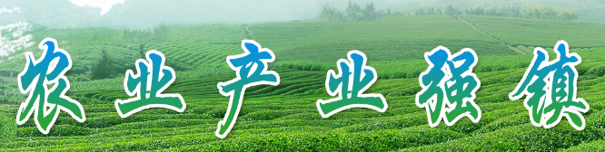 【智慧農(nóng)業(yè)】全國鄉(xiāng)村產(chǎn)業(yè)系統(tǒng)信息宣傳交流活動(dòng)舉行