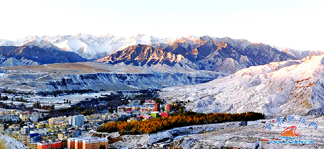 【智慧農(nóng)業(yè)】張掖市：農(nóng)業(yè)減“肥”增效實(shí)現(xiàn)化肥使用負(fù)增長