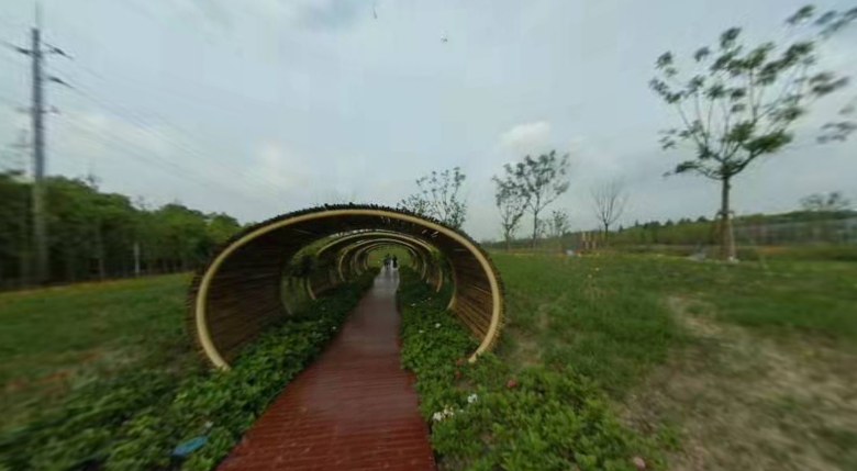 【鄉(xiāng)村振興】寶山區(qū)大力推進鄉(xiāng)村振興紀(jì)實