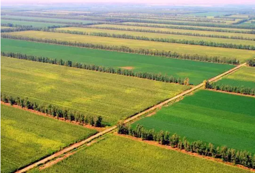 1490755188728872.png blob.png