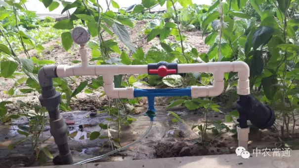 1490755229135872.png blob.png