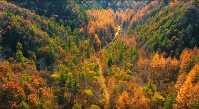 【鄉(xiāng)村振興】留壩縣高江路入選“2019全國美麗鄉(xiāng)村路”