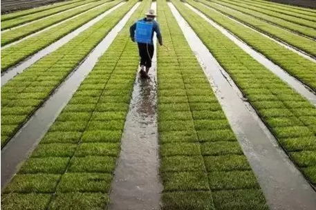 1490755271349848.png blob.png