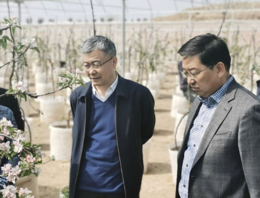 【智慧農(nóng)業(yè)】陜西省農(nóng)業(yè)農(nóng)村廳黨組成員、省果業(yè)中心黨委書記高武斌赴銅川、咸陽調(diào)研果業(yè)春季生產(chǎn)