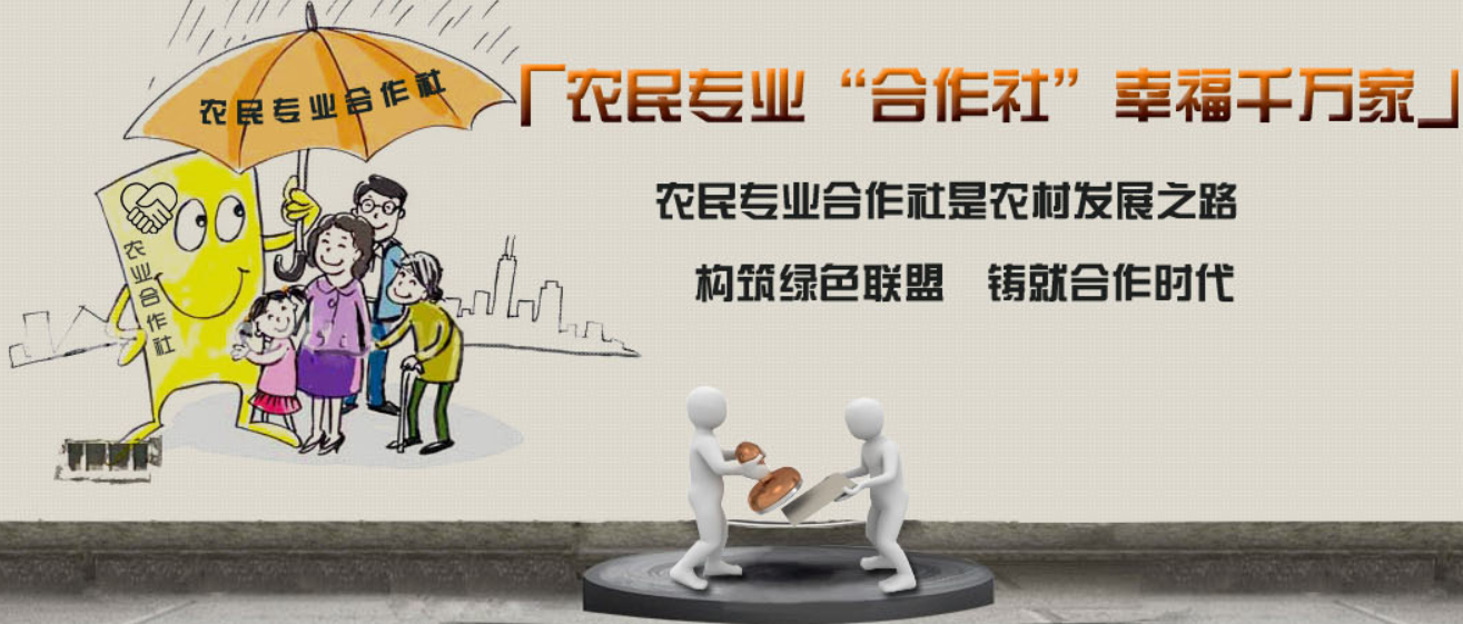 【新型未來農(nóng)業(yè)】大連土地股份合作社掛牌