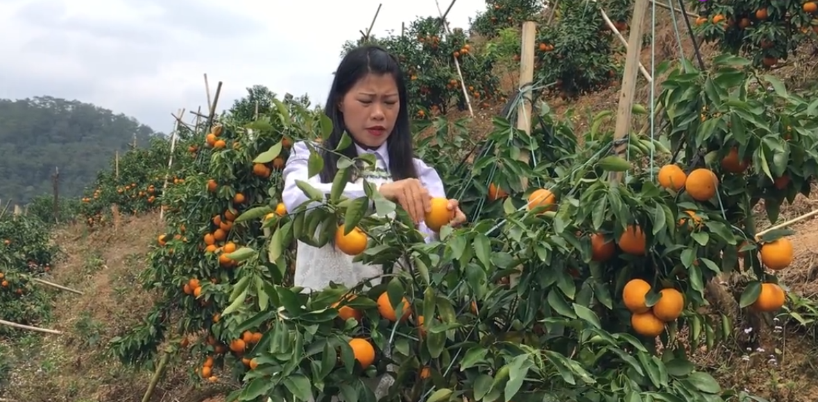 【鄉(xiāng)村振興】接續(xù)奮斗 鄉(xiāng)村振興開新局