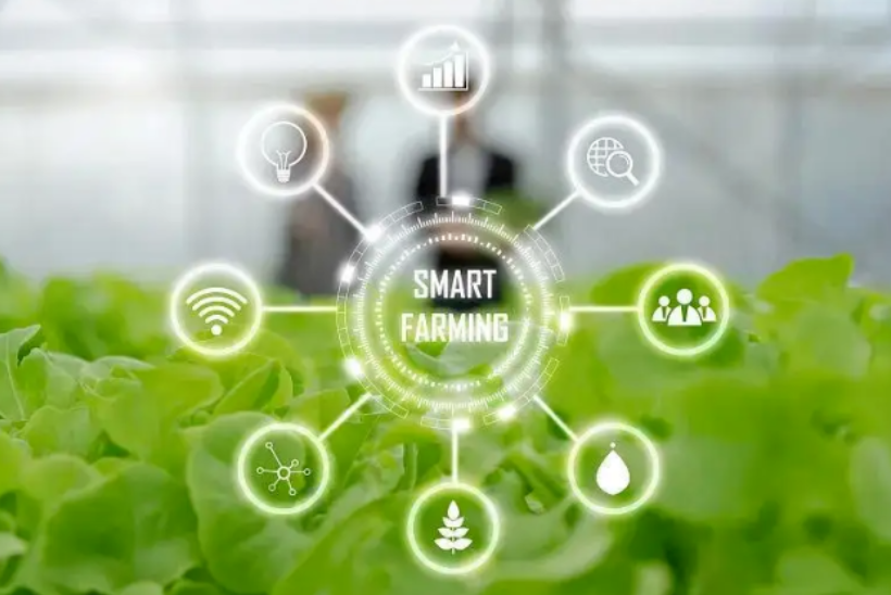 【農(nóng)業(yè)物聯(lián)網(wǎng)】農(nóng)業(yè)物聯(lián)網(wǎng)的未來在哪里？