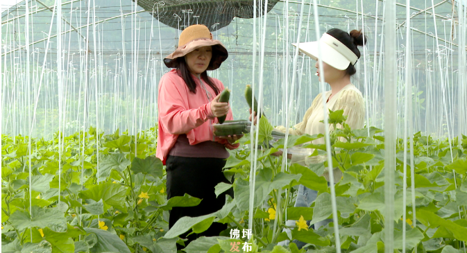 【和美鄉(xiāng)村】陜西佛坪的和美鄉(xiāng)村實(shí)踐：看教場壩村和王家灣村怎么做的？